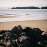 제주도 흥신소 비용 detectivex.net 협박 메시지 대응 전략 5단계